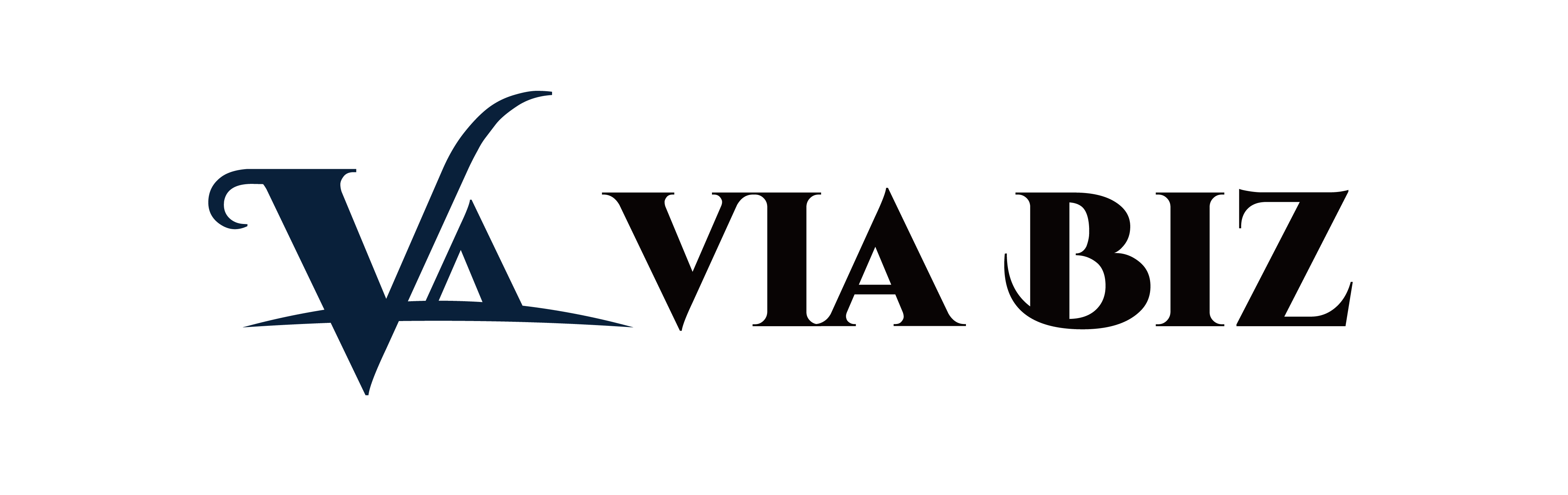 VIA BIZ